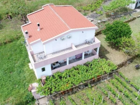 Vržina Farm House Skadar Lake